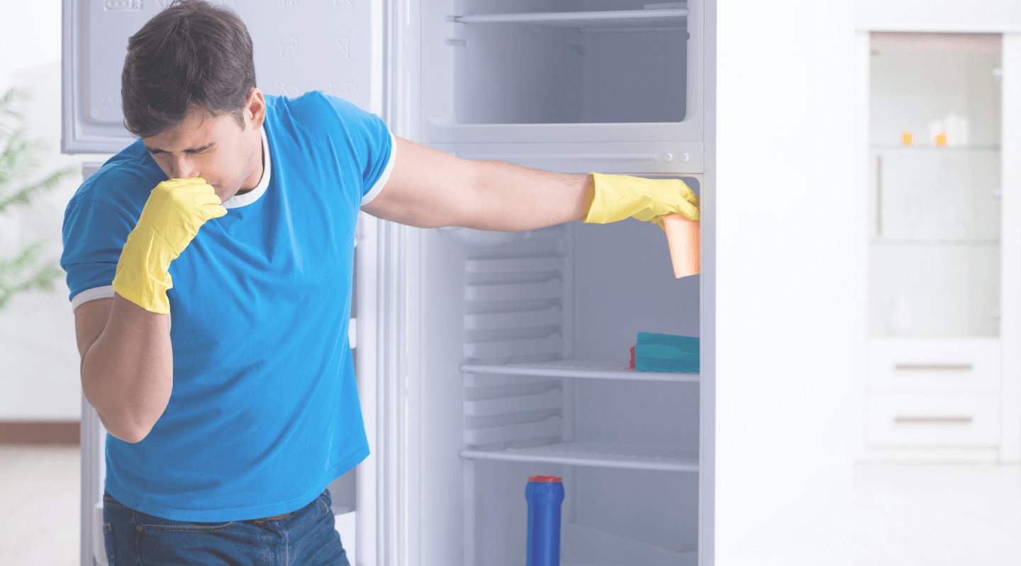Refrigerator cleaning
